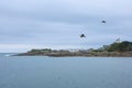 Roscoff, Brittany, houses at the coast, clouded sky, seagulls flying in the sky