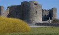 Roscommon castle ancient ruins