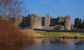 Roscommon castle and lake
