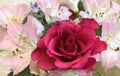 A Rose with Alstroemerias