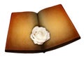 Rose on antique book