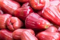 Rose apple Royalty Free Stock Photo