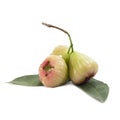 Rose apple or bell fruit on white background Royalty Free Stock Photo