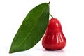 rose apple or chomphu on white background Royalty Free Stock Photo