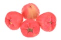 Rose Apple Fruit, Jambu Royalty Free Stock Photo