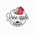 Rose apple fruit logo. Round linear apple slice