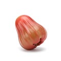 Rose Apple Fruit vibrant glossy jambu lying down with strong tilted angle Royalty Free Stock Photo