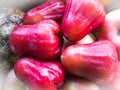 Rose apple group