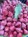 Rose Apple Gulab Jamun,White,Red and Mixed Color variety Wax Apple Water Apple Java Apple Fruit. Royalty Free Stock Photo