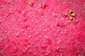 Rose apple pollen Royalty Free Stock Photo