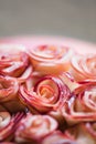 Rose Apple Tart Royalty Free Stock Photo