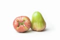 Rose apples isolated fresh on white background. The fruits are sweet and red or green Royalty Free Stock Photo