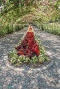 Rose Arbor At Point Defiance 5 Royalty Free Stock Photo