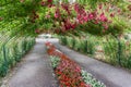 Rose Arbor Tunnel 9 Royalty Free Stock Photo