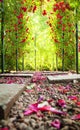 Rose arch