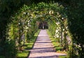 Rose Arch