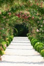 Rose Arch In the Garden Royalty Free Stock Photo