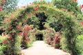 Rose Arch In the Garden Royalty Free Stock Photo