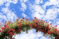 Rose Arch In the Garden Royalty Free Stock Photo