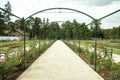 Rose Arch In the Garden of Esterhazy Castle Royalty Free Stock Photo