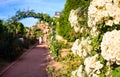 Rose archway in Parisian Garden Royalty Free Stock Photo