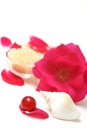 Rose aromatherapy
