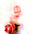 Rose art with fade abstract texture Royalty Free Stock Photo