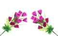 Rose, artificial flowers  isolated on white Royalty Free Stock Photo