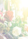 Rose background. vintage color filter Royalty Free Stock Photo