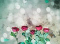 Rose backgrounds