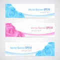 Rose banner collection Royalty Free Stock Photo