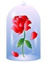 Rose from Beauty and the Beast Vector Illustration Royalty Free Stock Photo