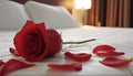 Rose on the bed in hotel rooms