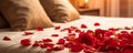 Rose on the bed in the hotel rooms. Rose and her petals on the bed for a romantic evening