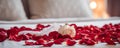 Rose on the bed in the hotel rooms. Rose and her petals on the bed for a romantic evening