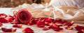 Rose on the bed in the hotel rooms. Rose and her petals on the bed for a romantic evening