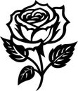 Rose - black and white vector illustration Royalty Free Stock Photo