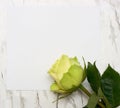 Rose on a blank leaf paper Royalty Free Stock Photo