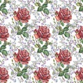 Rose , blue flower, watercolor, pattern seamless Royalty Free Stock Photo