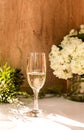 Rose blush wine in glasses. Bottle of rose wine with flowers on background. Prosecco Royalty Free Stock Photo