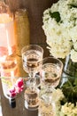 Rose blush wine in glasses. Bottle of rose wine with flowers on background. Prosecco Royalty Free Stock Photo