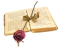 Rose and book Royalty Free Stock Photo