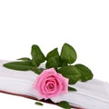 The rose on the book close-up Royalty Free Stock Photo