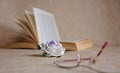 Rose, book and glasses Royalty Free Stock Photo