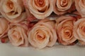 Rose bouguet soft pink color lying on the table, close-up. M acro.