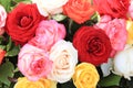 Rose bouquet in bright colors Royalty Free Stock Photo