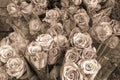 Rose bouquets for sale in sepia Royalty Free Stock Photo
