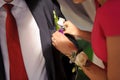 Rose Boutonniere