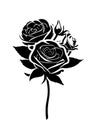 Rose branch with three flowers and a bud. Also good for tattoo. Editable vector monochrome image with high details isolated on