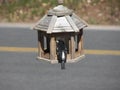 Rose- breasted Grosbeak at Feeder